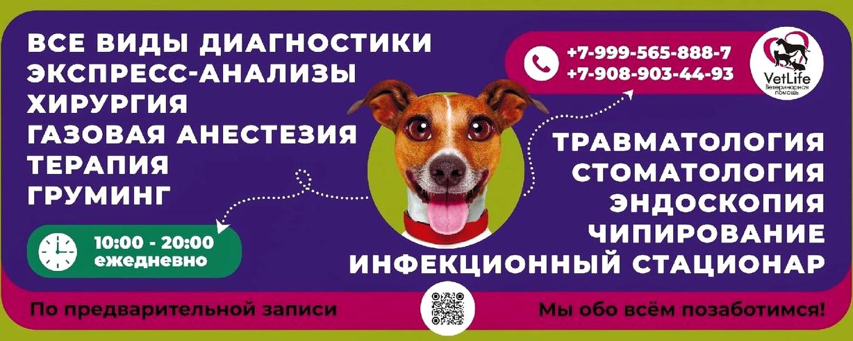 Изображение №4 компании "VetLife"