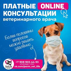 Изображение №2 компании "VetLife"