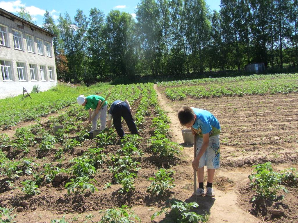 Изображение №4 компании Родниковская средняя общеобразовательная школа