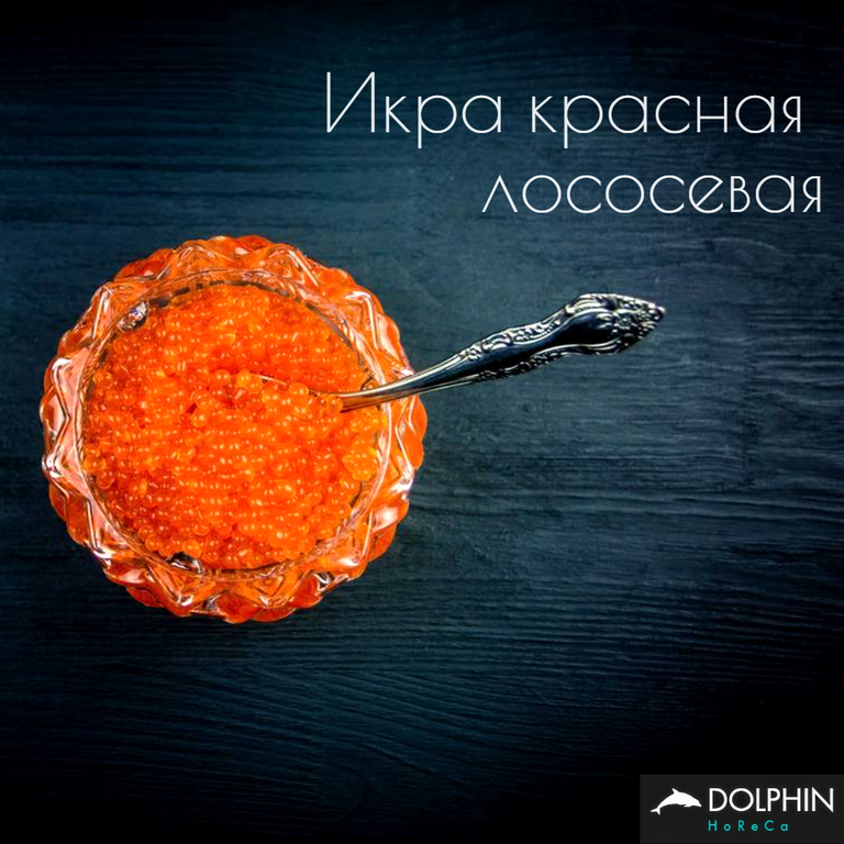 Изображение №2 компании Dolphin horeca