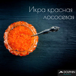 Изображение №3 компании Dolphin horeca