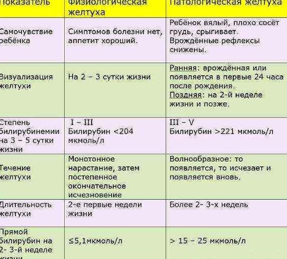 Изображение №5 компании Семья