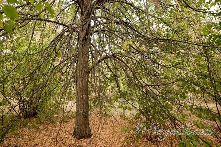 Изображение №20 компании Мастерская фотохудожника Иванова С.Е.