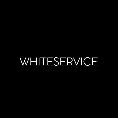 Изображение №8 компании WHITESERVICE