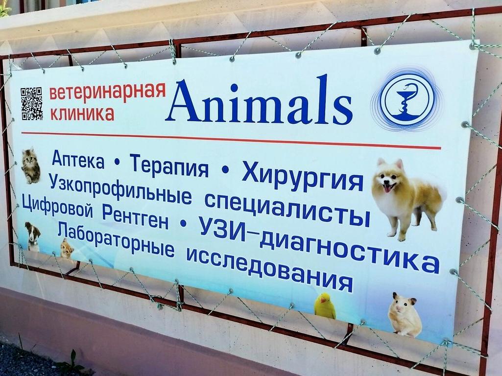 Изображение №5 компании Animals