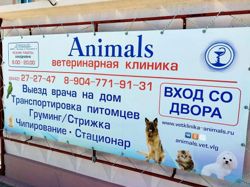 Изображение №4 компании Animals