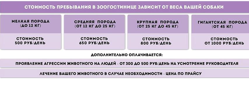 Изображение №9 компании Джульбарс