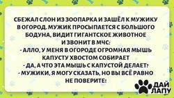 Изображение №2 компании Центр красок