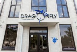 Изображение №3 компании Dragonfly