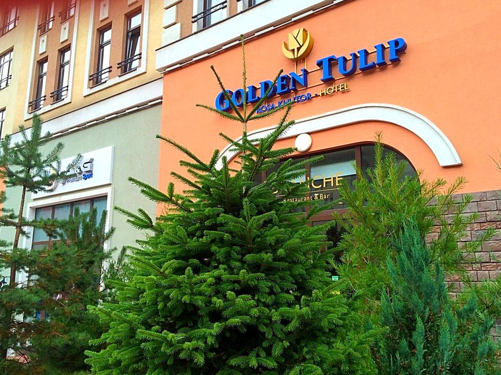 Изображение №11 компании Golden tulip rosa khutor