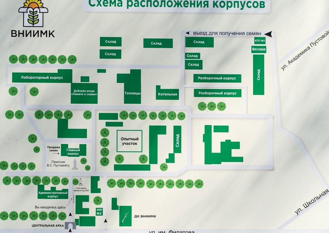 Изображение №5 компании ВНИИМК им. В.С. Пустовойта