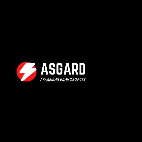 Изображение №3 компании Asgard