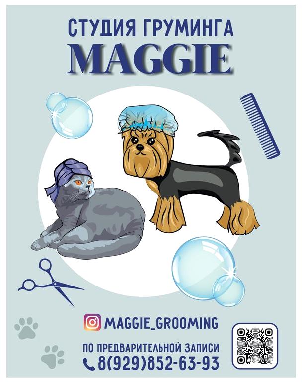 Изображение №1 компании MAGGIE