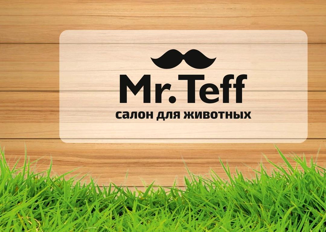 Изображение №1 компании Mr.Teff