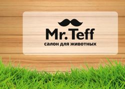 Изображение №1 компании Mr.Teff