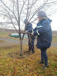 Изображение №2 компании Волго-Донского бассейна внутренних водных путей Волжский район гидросооружений и судоходства - Администрация Волго-Донского бассейна внутренних водных путей