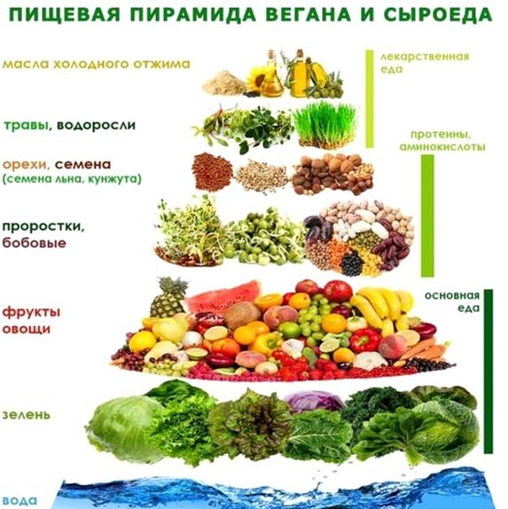 Изображение №3 компании Вега