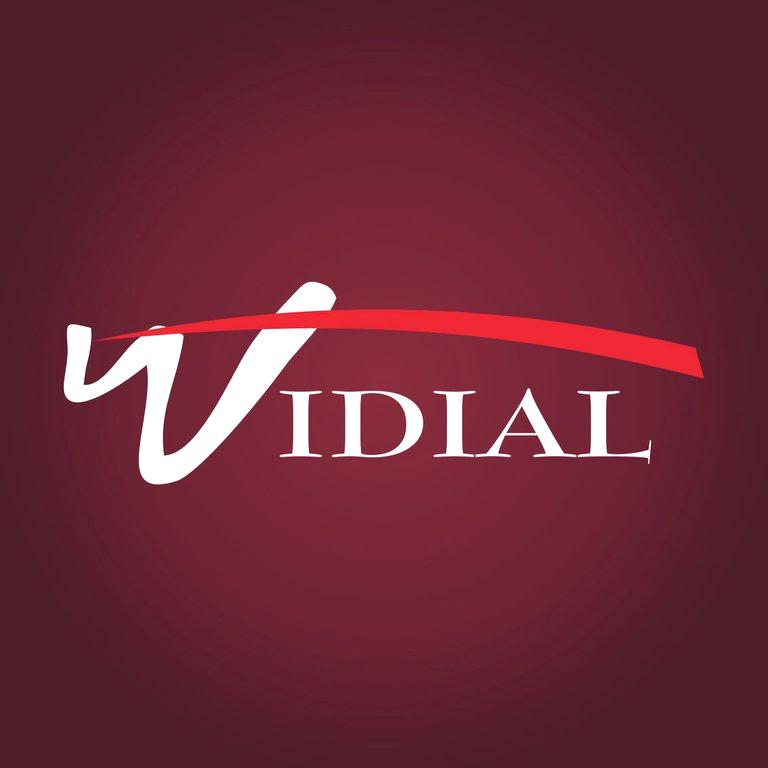 Изображение №1 компании Vidial