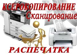 Изображение №4 компании Крокус