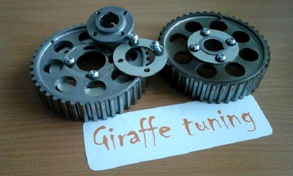 Изображение №5 компании Giraffe tuning