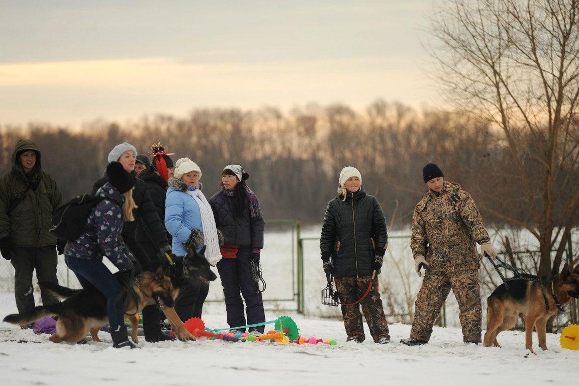 Изображение №15 компании Областной центр спортивно-служебного собаководства