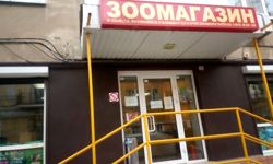 Изображение №4 компании Зоомагазин на улице Шаумяна 63