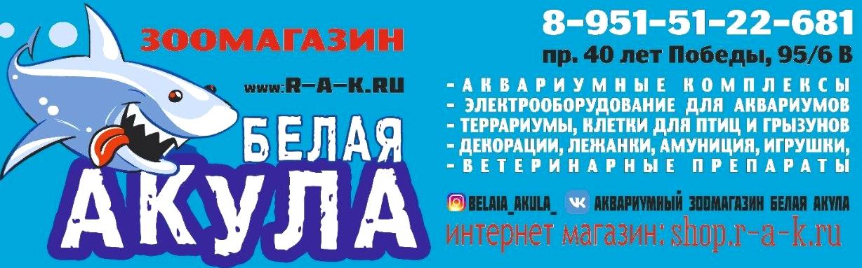 Изображение №6 компании Белая акула