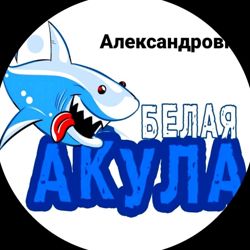 Изображение №3 компании Белая акула