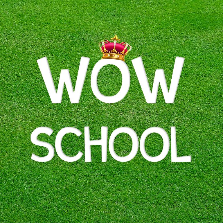 Изображение №1 компании Wow-School