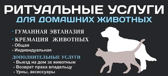 Изображение №2 компании Центр ритуальных услуг на Лесопарковой улице