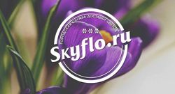 Изображение №1 компании Skyflo