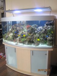 Изображение №1 компании Морской аквариум