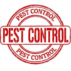 Изображение №3 компании Pest Control Samara