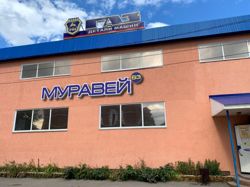 Изображение №2 компании Муравей