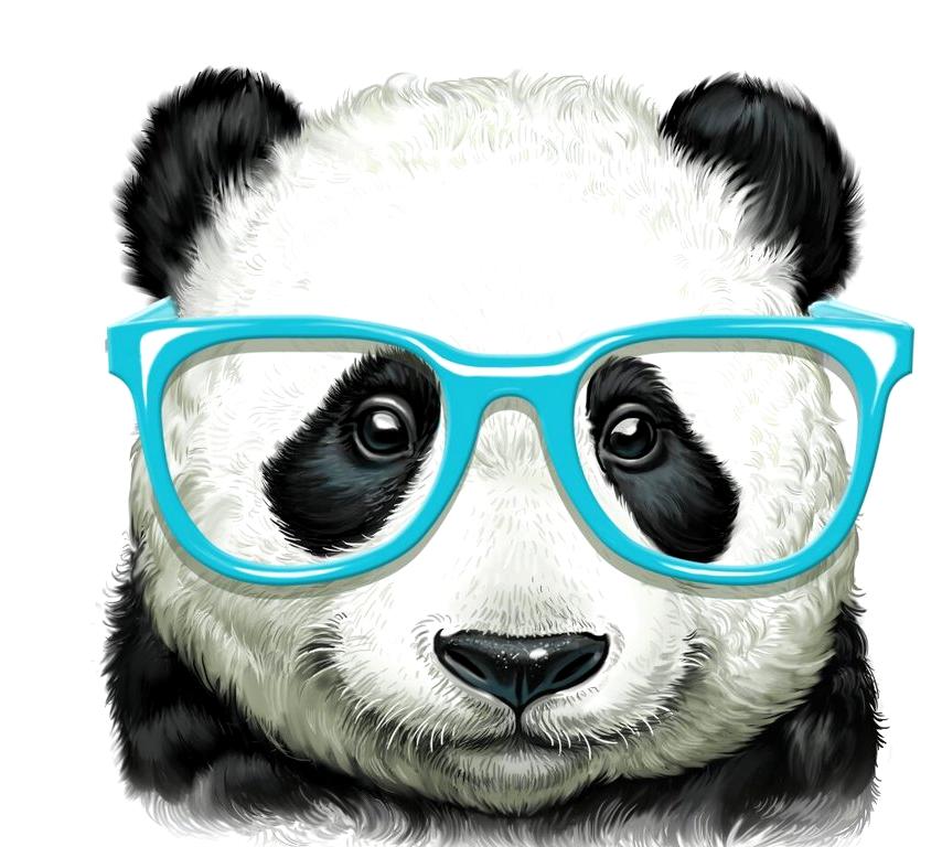 Изображение №1 компании Happy panda
