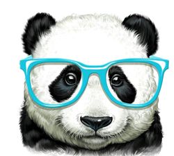 Изображение №1 компании Happy panda