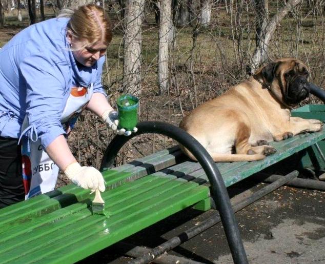 Изображение №1 компании Детский парк им. В.В. Терешковой