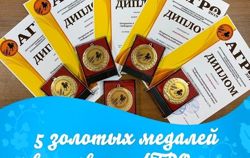 Изображение №1 компании Чебаркульский молочный завод