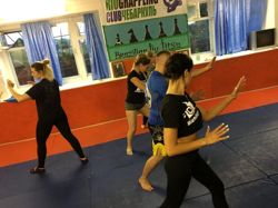 Изображение №1 компании Rio grappling clab