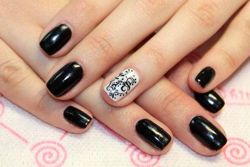 Изображение №3 компании Bio Sculpture Gel