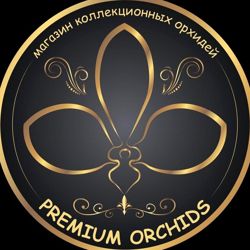 Изображение №1 компании Premium orchids