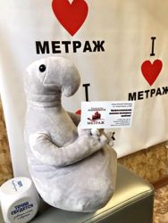 Изображение №2 компании Метраж