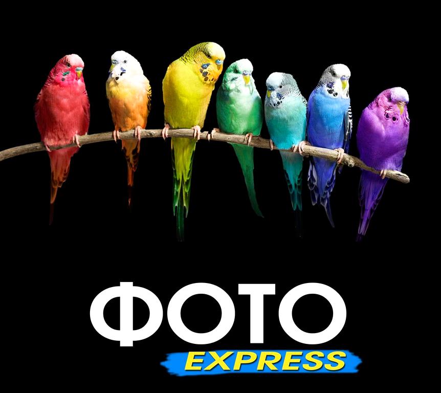 Изображение №5 компании Фотосалон ФОТОexpress