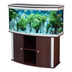 Изображение №2 компании AQUATIC INTERIORS