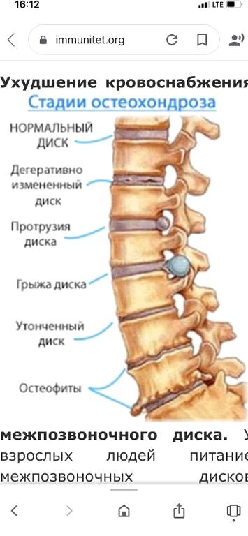 Изображение №11 компании Ортэк