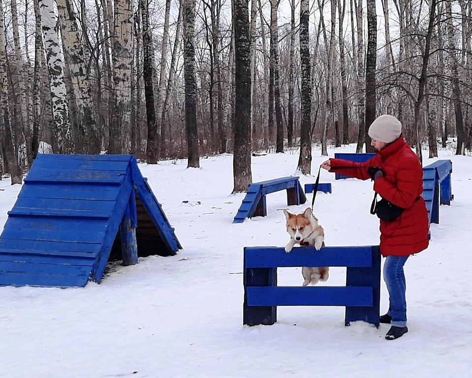 Изображение №1 компании Нижегородский областной кинологический центр