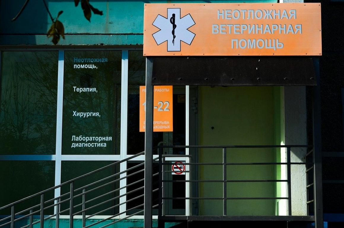 Изображение №4 компании Клиника неотложной ветеринарной помощи на Комсомольском проспекте