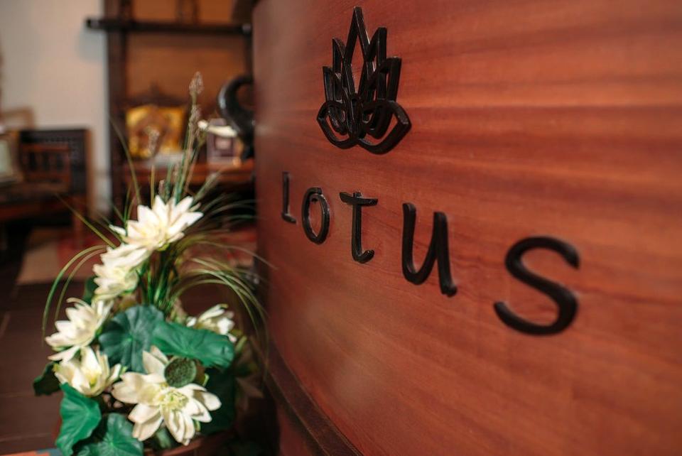Изображение №9 компании Lotus