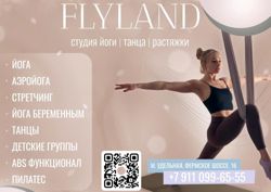 Изображение №1 компании Flyland