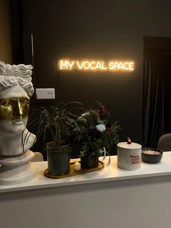 Изображение №2 компании My vocal studio